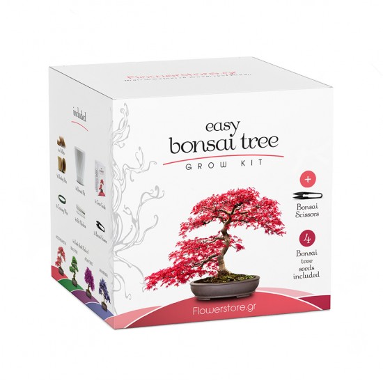 Μπονσαι Κιτ Σετ Δώρου / Καλλιεργείστε το δικό σας Bonsai!