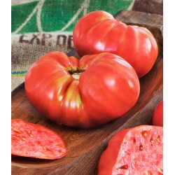 Ντομάτα H καρδιά του βουβαλιού - Beefsteak F1- Solanum lycopersicum, 20 Σπόροι Ντομάτα H καρδιά του βουβαλιού - Beefsteak F1- Solanum lycopersicum, 20 Σπόροι