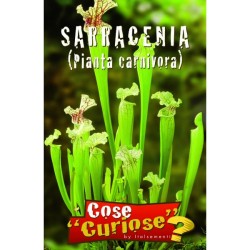 Σαρρακένια (Sarracenia) 0,03γρ. Σπόροι Σαρρακένια (Sarracenia) 0,03γρ. Σπόροι