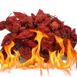 Ghost Pepper/Bhut Jolokia Αποξηραμένες καυτερές πιπεριές 10gr.
