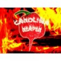 Carolina Reaper Υπερκαυτερή Πιπεριά 6 Σπόροι Carolina Reaper Υπερκαυτερή Πιπεριά 6 Σπόροι