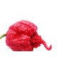 Καρολίνα Ριπερ / Carolina Reaper Τριμμένο Πιπέρι σε σκόνη. Το πιο καυτερό στον κόσμο! 10gr.