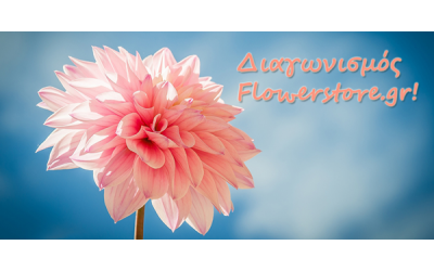 ΔΙΑΓΩΝΙΣΜΟΣ FLOWERSTORE.GR! ΔΩΡΕΑΝ ΠΑΚΕΤΑ ΣΠΟΡΩΝ ΚΑΙ ΒΟΛΒΩΝ!