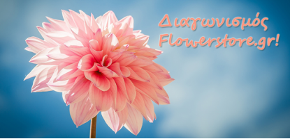 ΔΙΑΓΩΝΙΣΜΟΣ FLOWERSTORE.GR! ΔΩΡΕΑΝ ΠΑΚΕΤΑ ΣΠΟΡΩΝ ΚΑΙ ΒΟΛΒΩΝ!