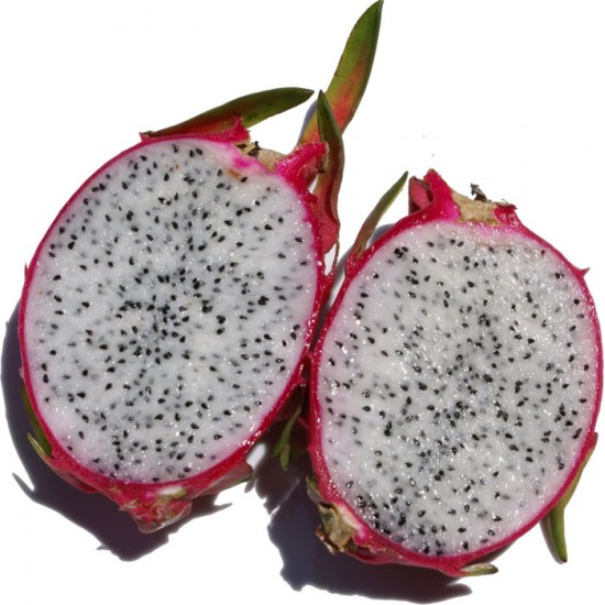 Εξωτικό φρούτο του δράκου Πιτάγια (Pitaya) – 10 Σπόροι