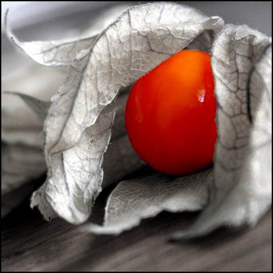 Φυσαλίδα (Physalis alkekengi) πακέτο σπόροι 0,25γρ.