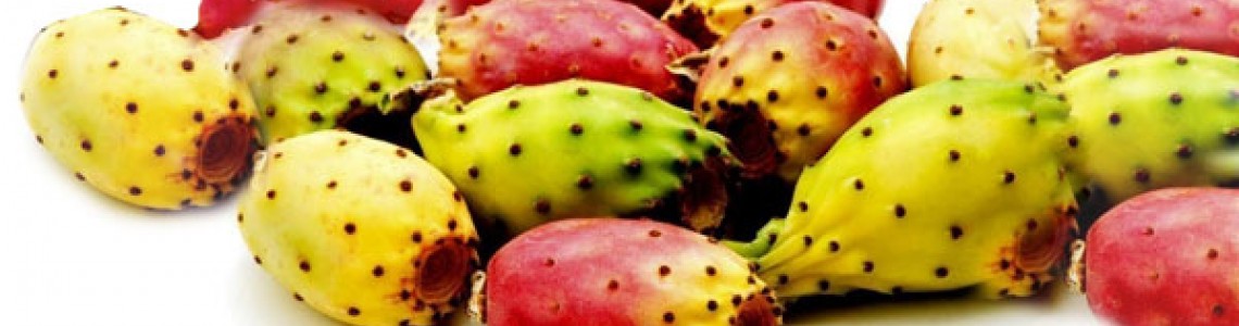Φραγκόσυκο (Opuntia prickly Pear) Οδηγίες Καλλιέργειας Σπόρων