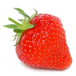 Φράουλα Αναρριχώμενη  Αρωματική Σπόροι 0,15gr Φράουλα Αναρριχώμενη  Αρωματική Σπόροι 0,15gr