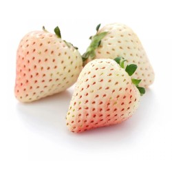 Φράουλα pineberry Σπόροι 0,03 γρ! Φράουλα pineberry Σπόροι 0,03 γρ!