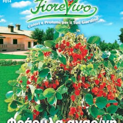 Φράουλα Αναρριχώμενη  Αρωματική Σπόροι 0,15gr Φράουλα Αναρριχώμενη  Αρωματική Σπόροι 0,15gr