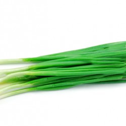 Φρεσκο/Χλωρό Κρεμμύδι σποροι 4.5γρ