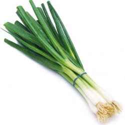 Φρεσκο/Χλωρό Κρεμμύδι σποροι 4.5γρ Φρεσκο/Χλωρό Κρεμμύδι σποροι 4.5γρ