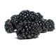 Μαύρο Σμέουρο/Giant Blackberry Γίγας 15 Σπόροι