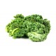 Kale/Κέιλ (Λαχανίδα-Σέσκουλο) 40+ σπόροι Kale/Κέιλ (Λαχανίδα-Σέσκουλο) 40+ σπόροι