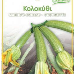 Κολοκυθάκι (Zucchino/Marrow Squash) με ανθό 5γρ.