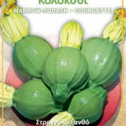 Κολοκυθάκι Στρογγυλό - 5g Σπόροι Κολοκυθάκι Στρογγυλό - 5g Σπόροι