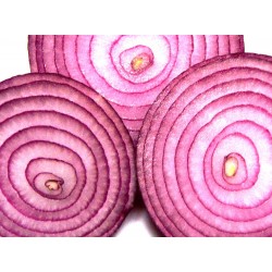 Κρεμμύδι Σπόροι Κόκκινο (Allium Cepa) 4,5γρ Σποροι Κρεμμυδιου Κρεμμύδι Σπόροι Κόκκινο (Allium Cepa) 4,5γρ Σποροι Κρεμμυδιου