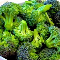 Μπρόκολο 5γρ. Σπόροι Μπρόκολου - Μια Αληθινή Σούπερ Τροφή! Μπρόκολο 5γρ. Σπόροι Μπρόκολου - Μια Αληθινή Σούπερ Τροφή!