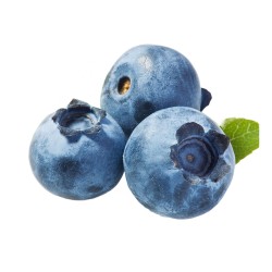 Μύρτιλο Vaccinium corymbosum 'Brigitta Blue'