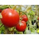 Ντομάτα Heinz 1350 - 20 Σπόροι Ντομάτα Heinz 1350 - 20 Σπόροι
