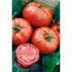 Ντομάτα Heinz 1350 - 20 Σπόροι Ντομάτα Heinz 1350 - 20 Σπόροι