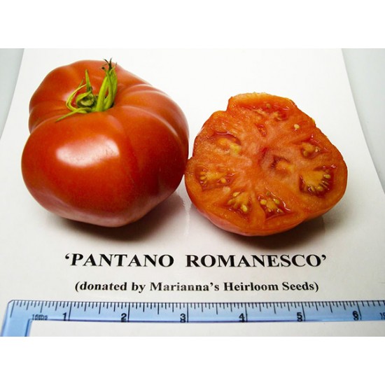 Ντοματα Pantano Romanesco Italian 20 Σπόροι Ντοματα Pantano Romanesco Italian 20 Σπόροι