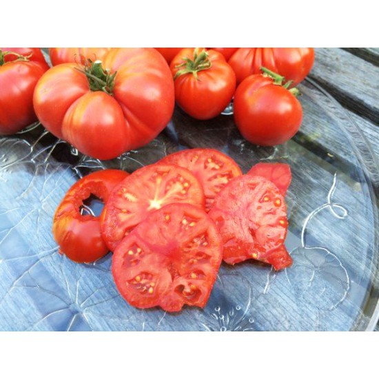 Ντοματα Pantano Romanesco Italian 20 Σπόροι Ντοματα Pantano Romanesco Italian 20 Σπόροι