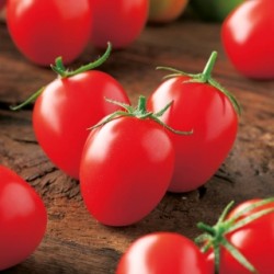 Ντομάτα cherry Principe Borghese - 0.3g σπόροι Ντομάτα cherry Principe Borghese - 0.3g σπόροι