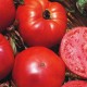 Ντομάτα Super Marmande - 10 Σπόροι