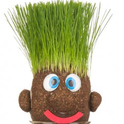 Πατατοκέφαλος Γρασίδας! Μαλλιά από γρασίδι!