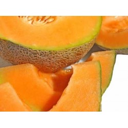 Πεπόνι Κανταλούπε/Cantaloupe 4,5γρ σπόροι Πεπονιού Πεπόνι Κανταλούπε/Cantaloupe 4,5γρ σπόροι Πεπονιού