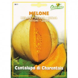 Πεπόνι Κανταλούπε/Cantaloupe 4,5γρ σπόροι Πεπονιού Πεπόνι Κανταλούπε/Cantaloupe 4,5γρ σπόροι Πεπονιού