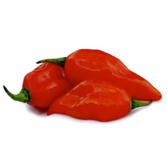 Πιπέρι από πιπεριά Ghost Pepper /Bhut Jolokia 10gr.