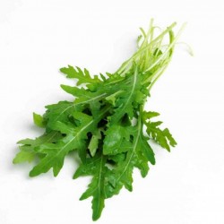 Ρόκα Πιπεράτη 1,5γρ Σπόροι Ρόκας