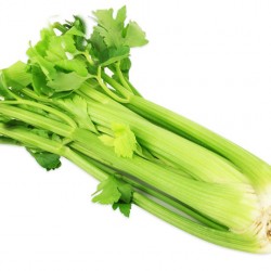 Σέλινο πακέτο σπόρων, 4 γραμ. Σέλινου Σέλινο πακέτο σπόρων, 4 γραμ. Σέλινου