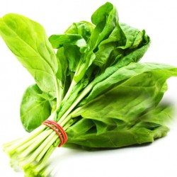 Σπανάκι / Σπόροι Σπανακιού Πλατύφυλλο Γίγας - 15γρ Σπανάκι / Σπόροι Σπανακιού Πλατύφυλλο Γίγας - 15γρ