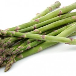 Σπαράγγια 3γρ. Σπόροι Σπαραγγιών Σπαράγγια 3γρ. Σπόροι Σπαραγγιών