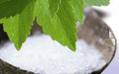 Στέβια Οδηγίες Καλλιέργειας Σπόρων