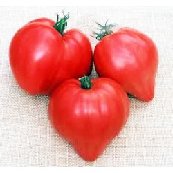 Ντοματα σε σχήμα καρδιάς (lycopersicon esculentum) 1γρ Σπόροι Ντοματα σε σχήμα καρδιάς (lycopersicon esculentum) 1γρ Σπόροι