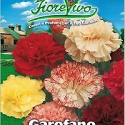 Γαρύφαλλα / Carnation Σπόροι 0,40γρ μίγμα χρωμάτων γαρυφαλλιάς!