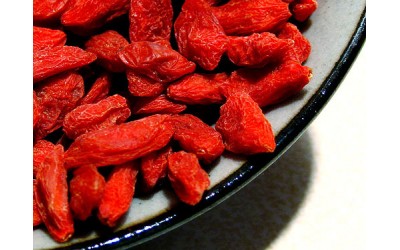 Γκότζι Μπέρι/Goji Berry Οδηγίες Καλλιέργειας Σπόρων