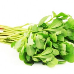 Γλυστρίδα 3γρ. Σπόροι Γλυστρίδας