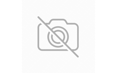 Έχιουμ / Echium Οδηγίες Καλλιέργειας Σπόρων