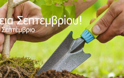 Τι φυτεύω τον Σεπτέμβριο? Καλλιέργεια Σεπτεμβρίου