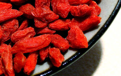 Γκότζι Μπέρι/Goji Berry Οδηγίες Καλλιέργειας Σπόρων