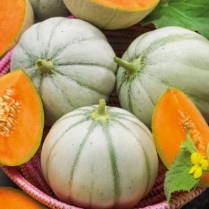 Πεπόνι “Charentaise” Cucumis melo - 3g σπόροι