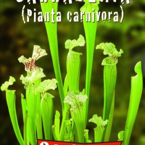 Σαρρακένια (Sarracenia) 0,03γρ. Σπόροι