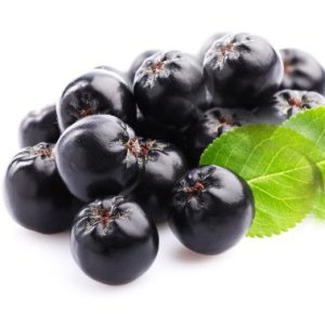 Αρώνια / Aronia melanocarpa - 60+ σπόροι