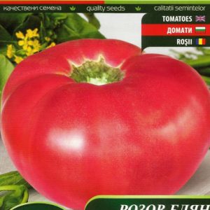 Ντομάτα Κόκκινη Blyan F1 (500γρ Μέγεθος) -  0,3 γρ Σπόροι