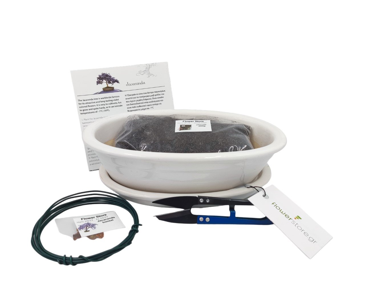 Bonsai Starter Σετ Δώρου - Jacaranda
